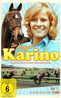 Poster Karino