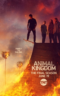Poster de Animal Kingdom