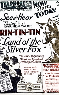 Poster Land of the Silver Fox