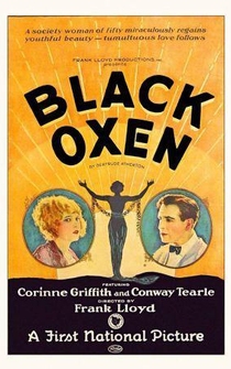 Poster Black Oxen