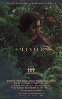 Poster Splinters