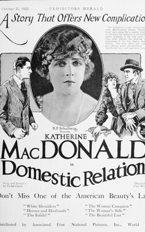 Poster Domestic Relations