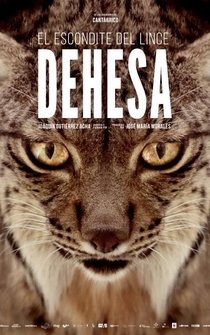 Poster Dehesa, el bosque del lince ibérico