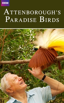 Poster Attenborough's Paradise Birds