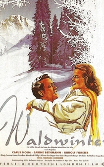 Poster Waldwinter