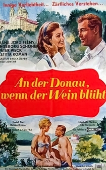 Poster An der Donau, wenn der Wein blüht