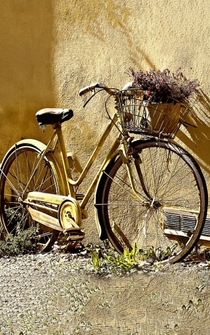 Poster Tales of a Yellow Bike