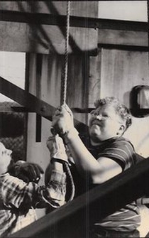 Poster de El ascenso