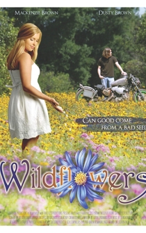 Poster Wildflowers