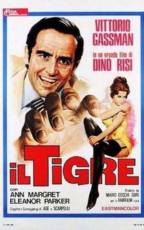 Poster El tigre