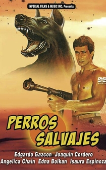 Poster Perros salvajes