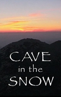 Poster Cave in the Snow