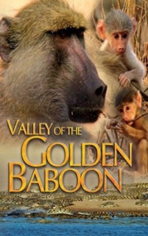 Poster Valley of the Golden Baboon