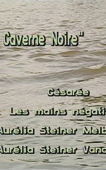 Poster La Caverne noire