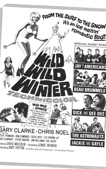 Poster Wild Wild Winter