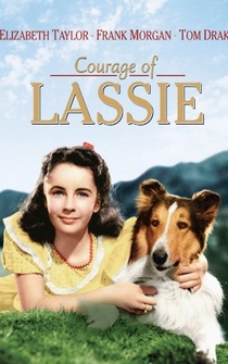 Poster El valor de Lassie