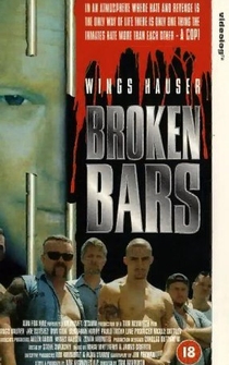 Poster Broken Bars