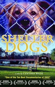 Poster Shelter Dogs