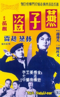 Poster Yan zi dao