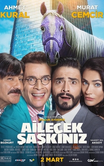 Poster Ailecek Saskiniz