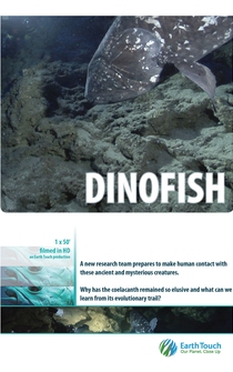 Poster Dinofish