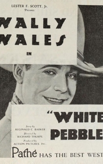 Poster White Pebbles