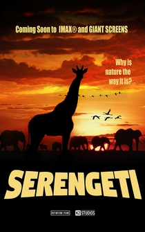 Poster Serengeti