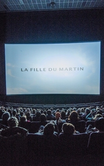 Poster La fille du Martin