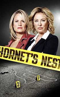 Poster de El avispero