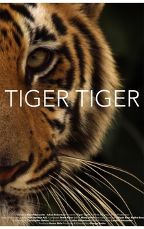 Poster Tiger Tiger