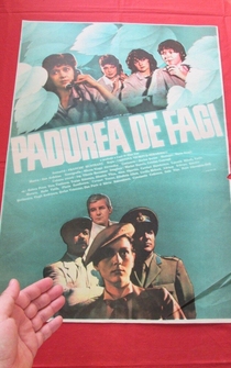 Poster Padurea de fagi