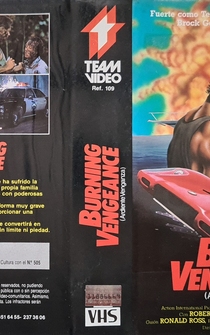 Poster Burning Vengeance