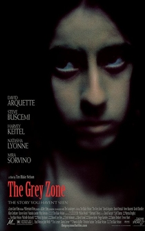 Poster de La zona gris