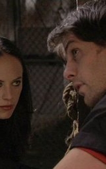 Poster de Los hamilton