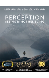 Poster Perception: Seeing Is Not Believing