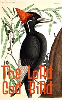 Poster The Lord God Bird