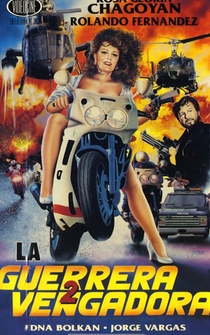 Poster La vengadora 2