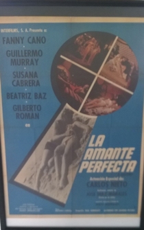 Poster La amante perfecta