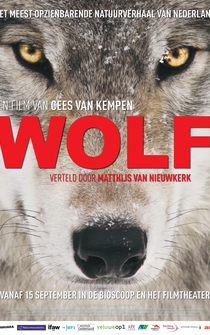 Poster Wolf