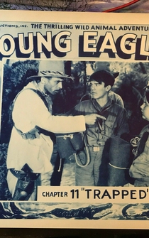 Poster Young Eagles