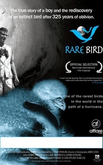 Poster Rare Bird