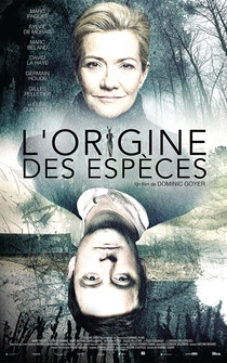 Poster L'Origine des espèces