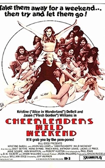 Poster de The Great American Girl Robbery