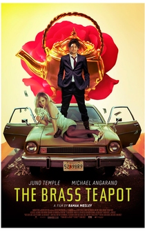 Poster de Amor por conveniencia