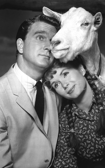 Poster de Tammy, la flor del pantano