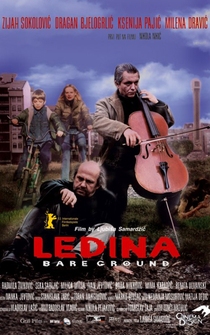 Poster Ledina