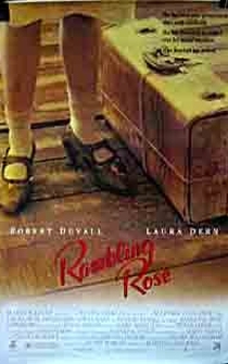 Poster de Noches de rosa