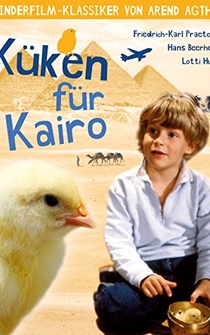 Poster Küken für Kairo