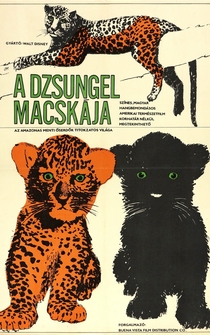 Poster Jungle Cat