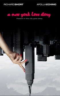 Poster de A New York Love Story